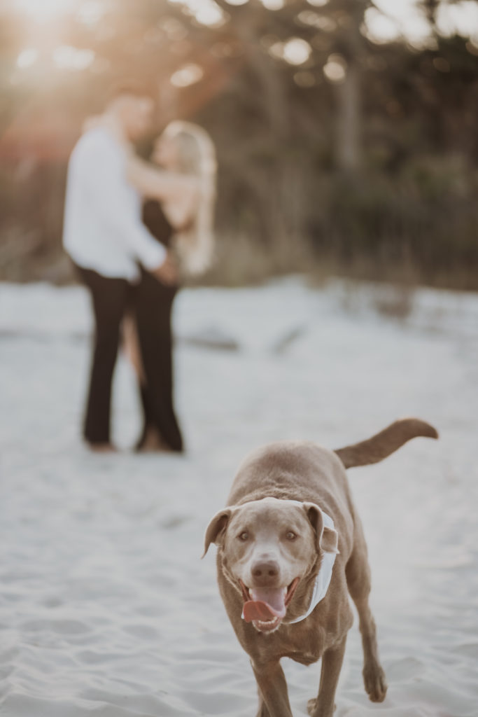 engagement session with puppy